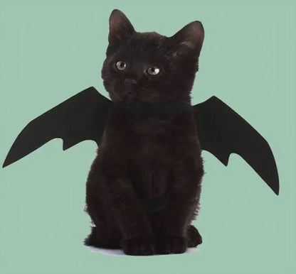 Alas de Murciélago para Perros y Gatos – Disfraz de Halloween negro en fieltro, ligero y ajustable | Petify & Co